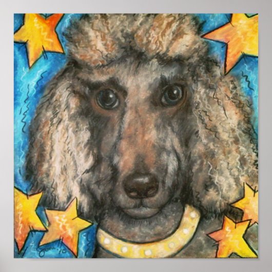 Posh Poodle Poster (Voorkant)