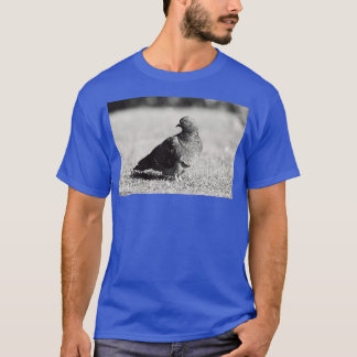 Posing 1 t-shirt