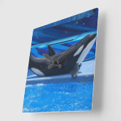 Posing Orca Wall klok (Hoek)