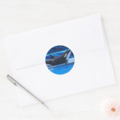 Posing Orka Stickers (Envelop)