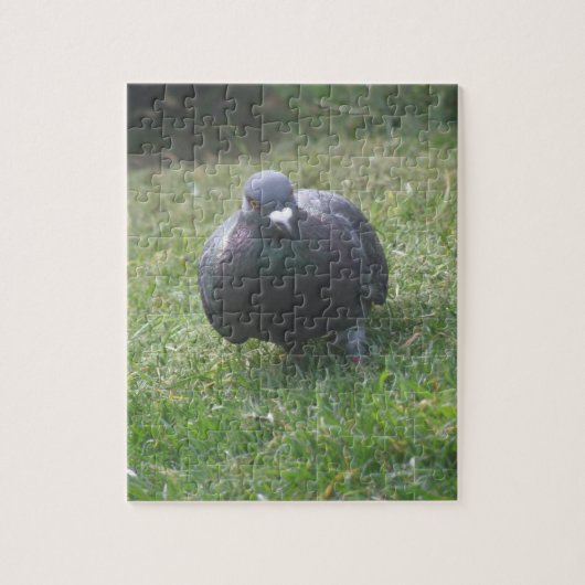 Posing Pigeon Legpuzzel (Verticaal)