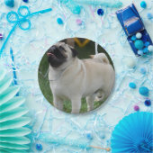 Posing Pug Papieren Bordje (Feest)