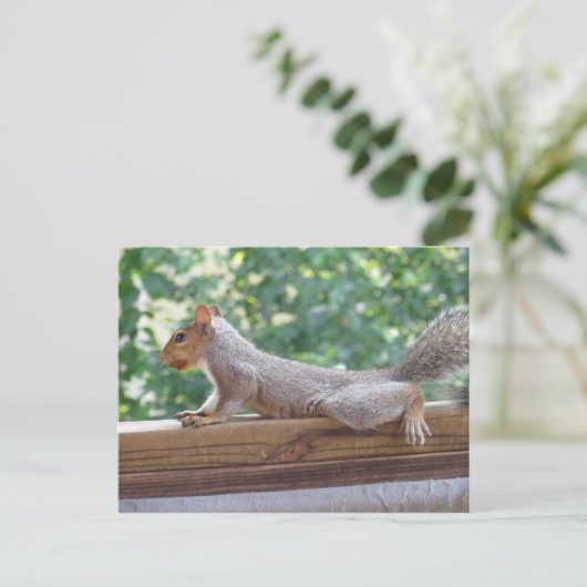 Posing Squirrel Briefkaart (Staand voorkant)