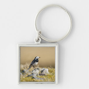 Posing Wagtail Sleutelhanger