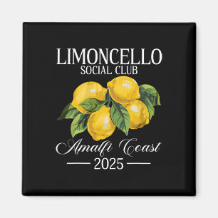 Positano Italië Vakantie Limoncello Amalfi Coast V Magneet