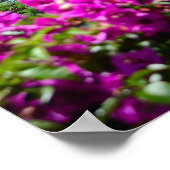 Positano-Poster Poster (Hoek)