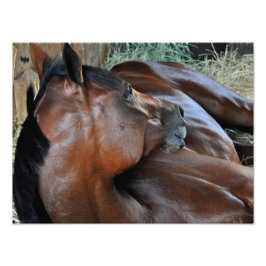 Positief koninklijk foto afdruk