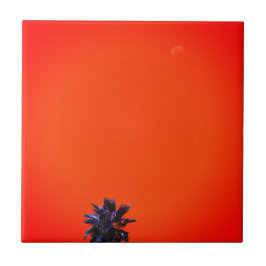 Positief tropisch boompalmmoonminimalisme bij vibe tegeltje