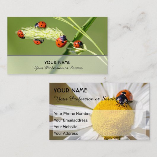 Positieve gelukshadybugs voor gezond welzijn visitekaartje (Voorkant / Achterkant)