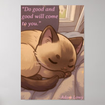 Positieve & Vreedzame Kat