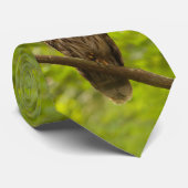 Position dans la cravate verte (Roulé)