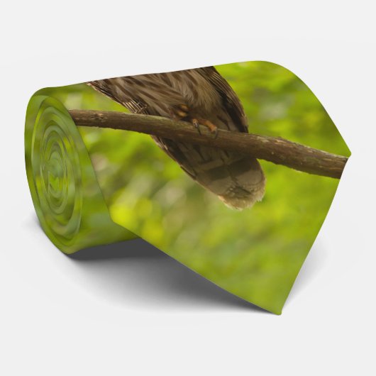 Position dans la cravate verte (Roulé)