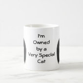 Possédé par une tasse spéciale de chat (Centre)