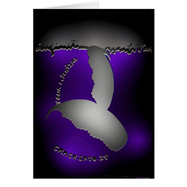 Possibilités infinies (Devant)