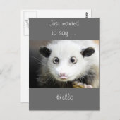 Possum Design Briefkaart (Voorkant / Achterkant)