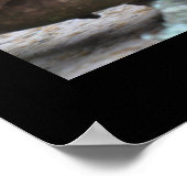 Possum d'horreur - Poster (Coin)