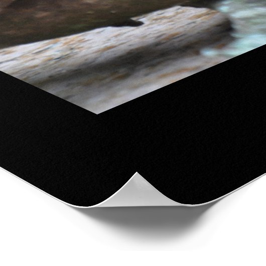 Possum d'horreur - Poster (Coin)