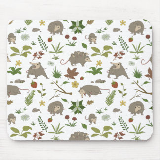 Possum in a Berry Field in White Muismat