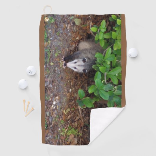 Possum in de ruwe golfhanddoek (Insitu)