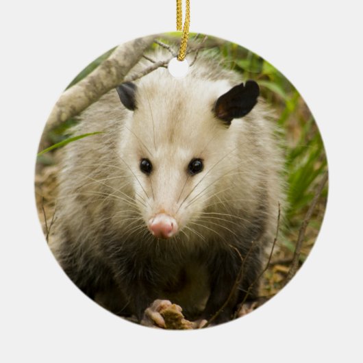 Possum is  - Opossum Didelphimorphia Keramisch Ornament (Voorkant)
