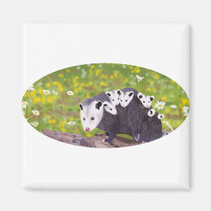 Possum Magneet