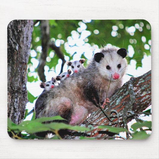 Possum, mama en baby's muismat (Voorkant)