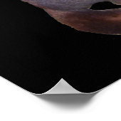 Possum Poster (Hoek)