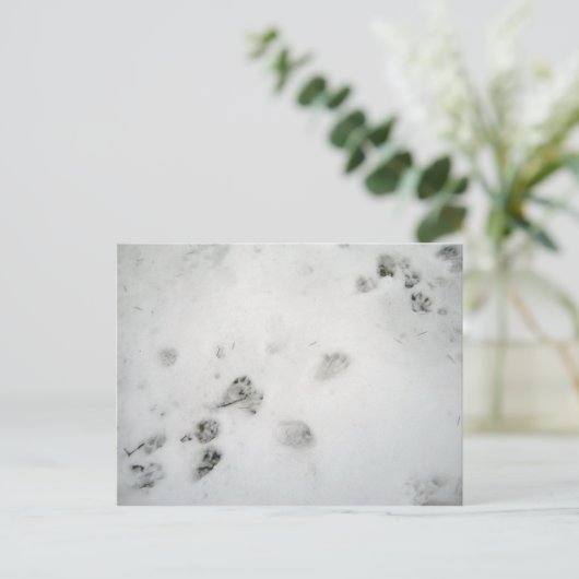 Possum Prints Briefkaart (Staand voorkant)