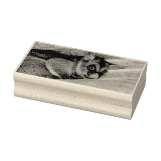 POSSUM QUEENSLAND AUSTRALIË 	RUBBERSTEMPEL