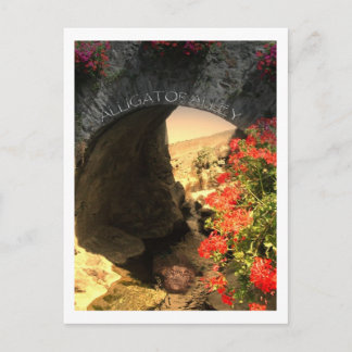 POST CARD Alligator Briefkaart