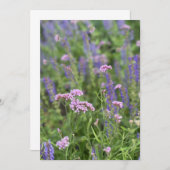 Post card kaart (Voorkant / Achterkant)