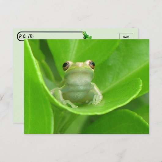 Post-croisement = Carte postale Cute Little Tree F (Devant / Derrière)