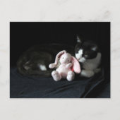 Post-croisement Certains Lapin M'Aime - Carte Post (Devant)