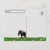 Post-croisement - Photo d'une carte postale d'élép (Dos)