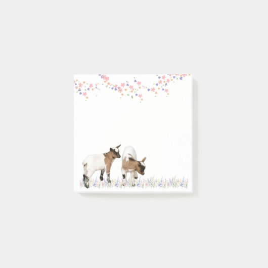 POST-IT® 花とかわいい子ヤギ♡ (Devant)
