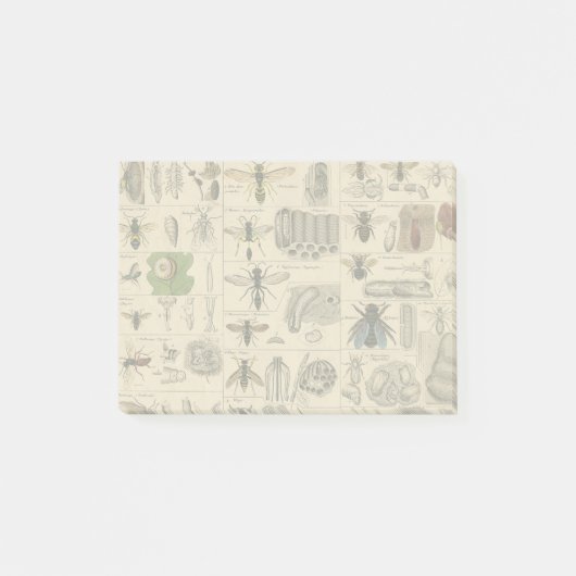 Post-it® Abeille Insecte Bug Wasp Nature Peinture des abeil (Devant)