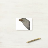 Post-it® Adler (Sur un bureau)