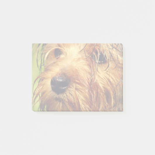 Post-it® Adorable chien Terrier avec un visage humide (Devant)