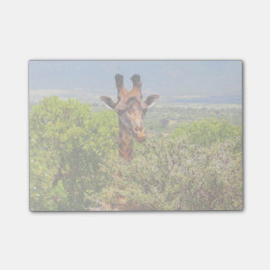 Post-it® Adorable Giraffe Poking His Head Above The Trees