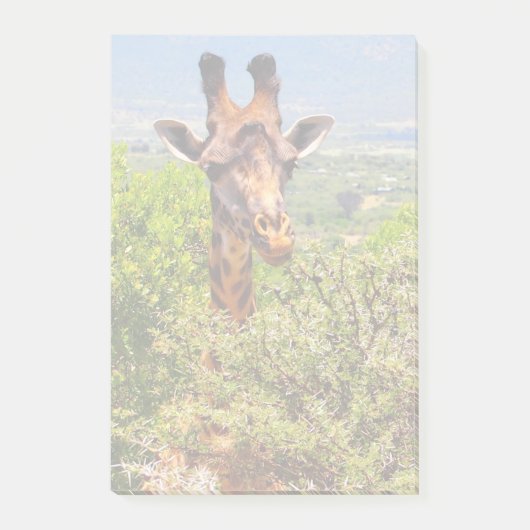 Post-it® Adorable Giraffe Poking His Head Above The Trees (Devant)