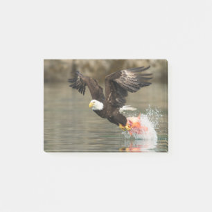 Post-it® Aigle à tête plate
