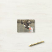 Post-it® Aigle à tête plate (Sur un bureau)
