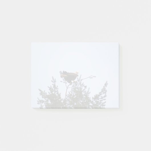 Post-it® Aigle de Bald (Devant)