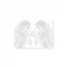 AILES D'ANGE Blanc - Plumes Grises Touchées -