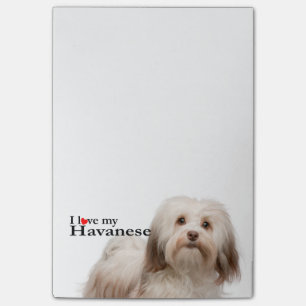 Post-it® Aimez mes notes de post-it de Havanese