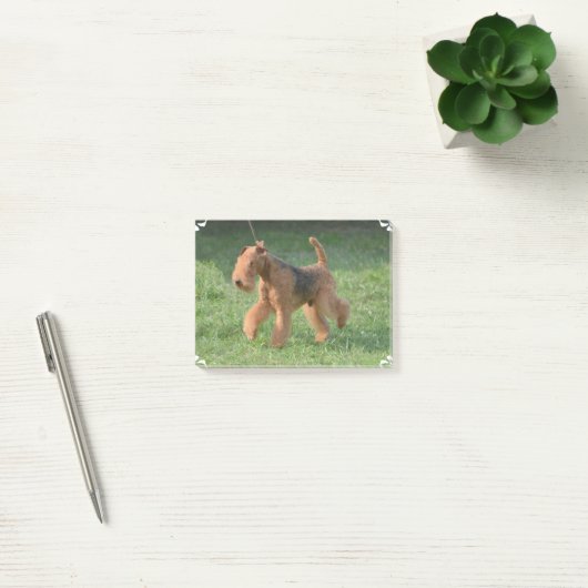 Post-it® Airdale doux Terrier (Bureau)