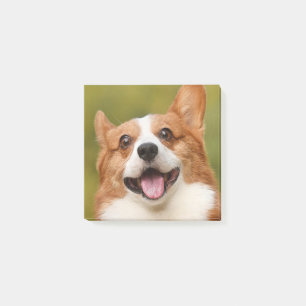 Post-it® Ajouter photo de chien personnalisé Customisé