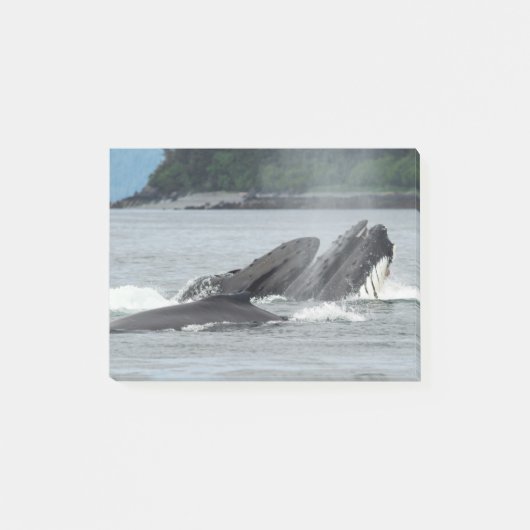 Post-it® Alimentation des baleines à bosse (Devant)