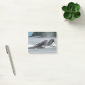 Post-it® Alimentation des baleines à bosse (Bureau)