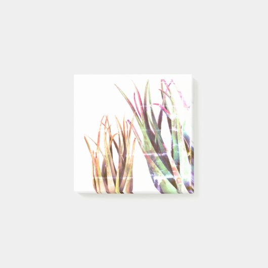 Post-it® ALoe Vera, Art Notes (Devant)